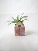 Mini House Airplant Holder | Planter in Vases & Vessels by Nosheen iqbal. Item composed of bamboo