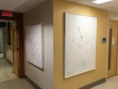 Swan Series | Oil And Acrylic Painting in Paintings by Candace Wilson Art Studio | Toronto Western Hospital in Toronto. Item composed of canvas