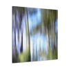 Dream Forest 51161 | Oil And Acrylic Painting in Paintings by Petra Trimmel. Item made of wood with canvas