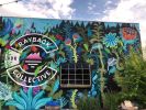 Wall Mural | Murals by John Hastings (RUMTUM CREATIONS) | Rayback Collective in Boulder