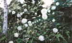 Dandelion Garden | Oil And Acrylic Painting in Paintings by Sally K. Smith Artist. Item composed of birch wood compatible with contemporary and country & farmhouse style