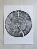 Rock Canyon Utah Pine | Prints by Erik Linton. Item composed of paper