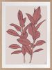 Rubbery Leaf - 1 & 2 - Red - Framed Art | Prints by Patricia Braune. Item composed of paper