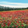 2020 Exhibition | Oil And Acrylic Painting in Paintings by Becca Clegg | Denbies Wine Estate in Dorking. Item composed of canvas