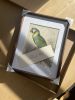Taloulah-A Custom Bird Portrait | Prints by Studio Linnæus. Item composed of walnut and cotton in boho or mid century modern style