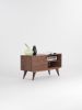 Media cabinet made of walnut wood, record player stand | Storage by Mo Woodwork