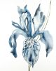 Iris No. 95 : Original Watercolor Painting | Paintings by Elizabeth Beckerlily bouquet. Item composed of paper in minimalism or contemporary style