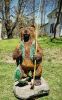 Portfolio of Chainsaw Carvings | Public Sculptures by Paul's Green Barn. Item composed of wood