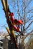 Bamboo by Tim 'Frogman' Cotterill, NSG | Public Sculptures by JK Designs and the National Sculptors' Guild | Mercy Park in Joplin