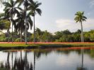 Luminous Gardens | Art & Wall Decor by Patricia Van Dalen | Fairchild Tropical Botanic Garden, Coral Gables, FL in Coral Gables