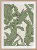 Rubbery Leaf Design - 1 & 2 - Oasis - Framed Art | Prints by Patricia Braune. Item composed of oak wood and paper