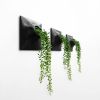 Node M Wall Planter, 9" Modern Plant Wall Set, Black | Sculptures by Pandemic Design Studio. Item composed of stoneware in minimalism or mid century modern style