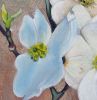 Dogwood Tree Blossoms Portrait | Oil And Acrylic Painting in Paintings by Catherine Twomey. Item composed of canvas and synthetic