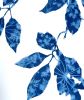 Spring Madrone III (30 x 22" cyanotype painting on paper) | Watercolor Painting in Paintings by Christine So. Item made of paper works with boho & country & farmhouse style