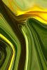 Fiddleneck 00154 | Prints by Petra Trimmel. Item made of paper