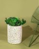 Terrazzo Pot | Vase in Vases & Vessels by Bend Goods. Item made of marble