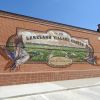 Lakeland ducks | Murals by Anat Ronen | Lakeland Village Center in Cypress