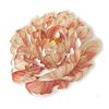 Large-scale Blossom on-edge paper art | Wall Sculpture in Wall Hangings by JUDiTH+ROLFE. Item made of paper works with contemporary & modern style