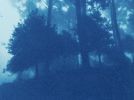 The Day Begins: 35 x 23" original cyanotype, ed. 1 of 3) | Photography by Christine So. Item composed of paper in rustic or traditional style