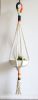 Macrame Plant Hanger | Plants & Landscape by Freefille. Item composed of cotton