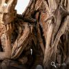 Monumental Teak Root Style Winged Guardian Sculpture (190cm) | Sculptures by Adam's Luxury Home. Item made of wood works with eclectic & maximalism & industrial style