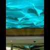 'Migration' Illuminated Ceiling Public Artwork | Glasswork in Wall Treatments by Marcia Stuermer. Item made of glass & synthetic