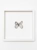 cocooning & metamorphosis collection | Prints by Tania Love. Item made of paper