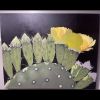 'Sun Kissed Parade' Fine Art Print | Prints in Paintings by Jenny Stewart's Fine Art. Item made of canvas & aluminum compatible with contemporary and rustic style