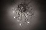 Roots Medium | Chandeliers by F+M FOS - Anna Maria Fragiskos Bitros. Item made of copper works with modern style