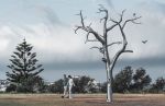 '2030' - Metal tree sculpture | Public Sculptures by Sam Hopkins. Item made of steel