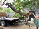 Leaping Sturgeon Commissioned for approach to Cuomo Bridge | Public Sculptures by Wendy Klemperer Art Inc. Item composed of steel