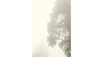 The General | Photography by Renee Torres. Item composed of paper in contemporary style