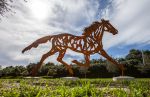 Silhouette Herd | Public Sculptures by Wendy Klemperer Art Inc | Davie Pine Island Park in Davie. Item made of steel