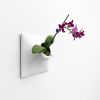 Node M Wall Planter, 9" Mid Century Modern Planter, White | Plant Hanger in Plants & Landscape by Pandemic Design Studio. Item composed of stoneware in minimalism or mid century modern style