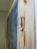 "the conditions of love" (sold) | Mixed Media in Paintings by VISCERAL HOME STUDIO. Item compatible with boho and minimalism style