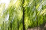 DreamLand_F1153_XL, forest panorama art | Photography by Rica Belna. Item composed of canvas & paper
