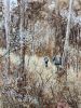 Follow Me | Watercolor Painting in Paintings by Maurice Dionne FINEART. Item composed of paper