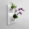 Modern Ceramic Wall Planter Black Set of 4 - Living Wall | Plants & Landscape by Pandemic Design Studio. Item composed of ceramic in minimalism or modern style