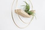 Modern Air Plant Hanger | Plants & Landscape by Braid & Wood Design Studio. Item composed of wood & brass