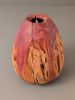 Juniper Hollow Form 1 | Ornament in Decorative Objects by Wood Alchemist Studio. Item composed of wood