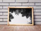 The Tree Top II | Limited Edition Print | Photography by Tal Paz-Fridman | Limited Edition Photography. Item composed of paper compatible with country & farmhouse and coastal style