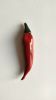 Chili Pepper | Ornament in Decorative Objects by Federica Massimi Ceramics. Item composed of ceramic in eclectic & maximalism or mediterranean style