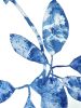 Delft Madrone I (16 x 12" Original Cyanotype Painting) | Mixed Media in Paintings by Christine So. Item made of paper works with boho & country & farmhouse style