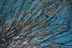 Emergence | Oil And Acrylic Painting in Paintings by Elmira Lilic. Item composed of canvas