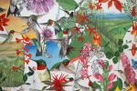 Hummingbirds of North America | Oil And Acrylic Painting in Paintings by Trena McNabb | Red Oak Brewery in Whitsett