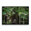TIMBERLAND | Fine Art Print - Photography | Photography by Jess Ansik. Item composed of paper compatible with boho and contemporary style