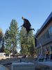 Time by Carol Gold, NSG | Public Sculptures by JK Designs and the National Sculptors' Guild | Bend Senior Center in Bend