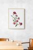 Rose Study No. 86 : Original Watercolor Painting | Paintings by Elizabeth Beckerlily bouquet. Item composed of paper in boho or minimalism style