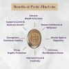 Pyrite Zibu Coin for Prosperity, Abundance & Good Luck | Decorative Objects by Serein Wellness LLC. Item compatible with contemporary style