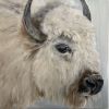 Kelly Frank | Paintings by Marilyn Landers